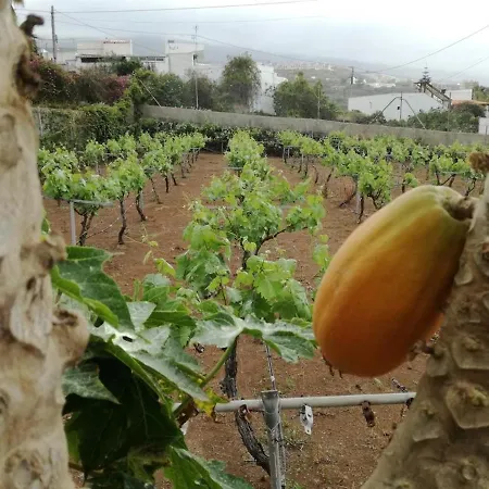 Cosy With Panoramic Views In Icod De Vinos 70m² * Icod De Los Vinos