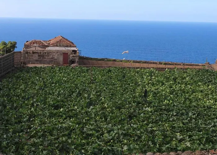 Cosy With Panoramic Views In Icod De Vinos - 70m² 木屋 *