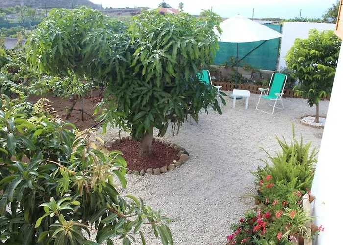 Cosy With Panoramic Views In Icod De Vinos - 70m² 샬레