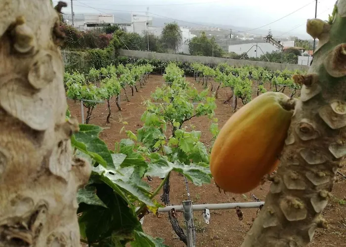 Cosy With Panoramic Views In Icod De Vinos - 70m² * 이코드레로스비노스